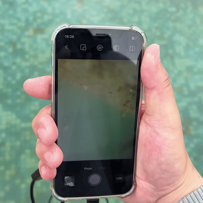 Se exakt vad som händer – direkt i mobilen